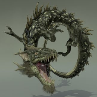 BLACK DRAGON