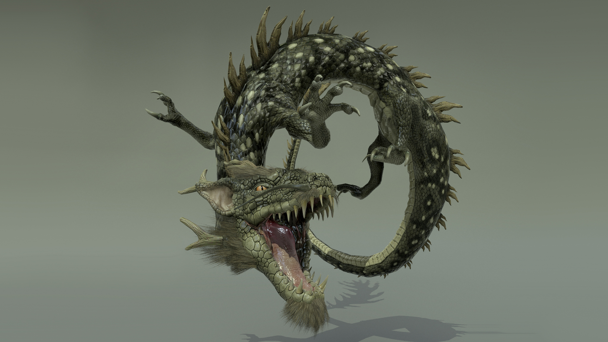 BLACK DRAGON