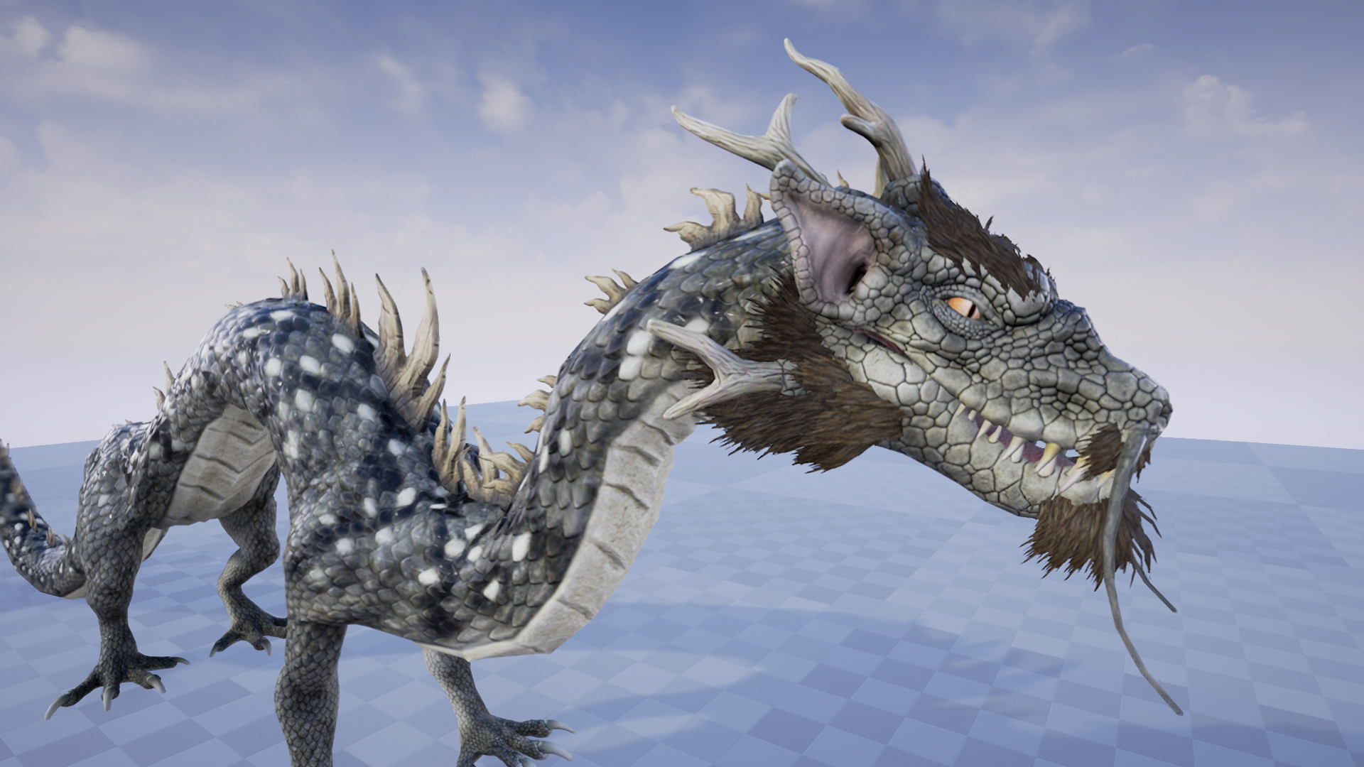 BLACK DRAGON - Image 3