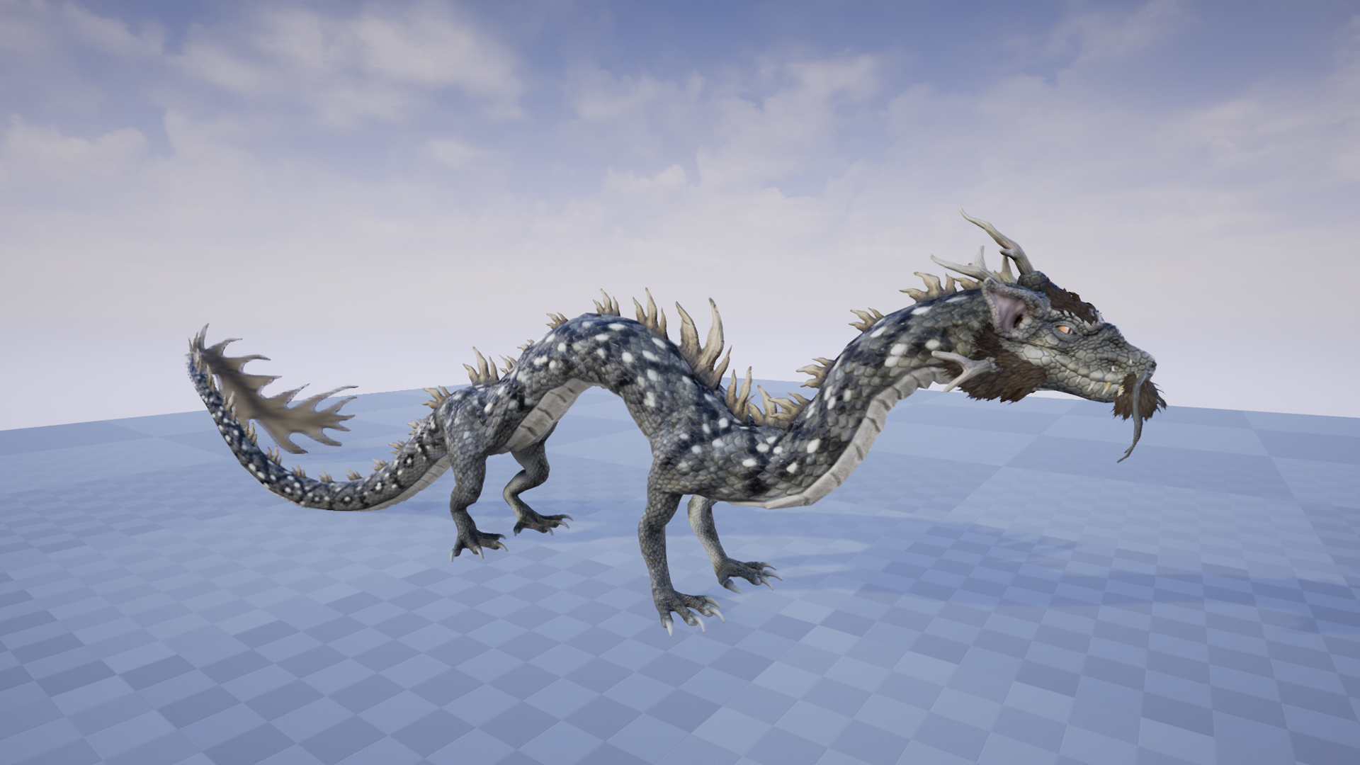 BLACK DRAGON - Image 4
