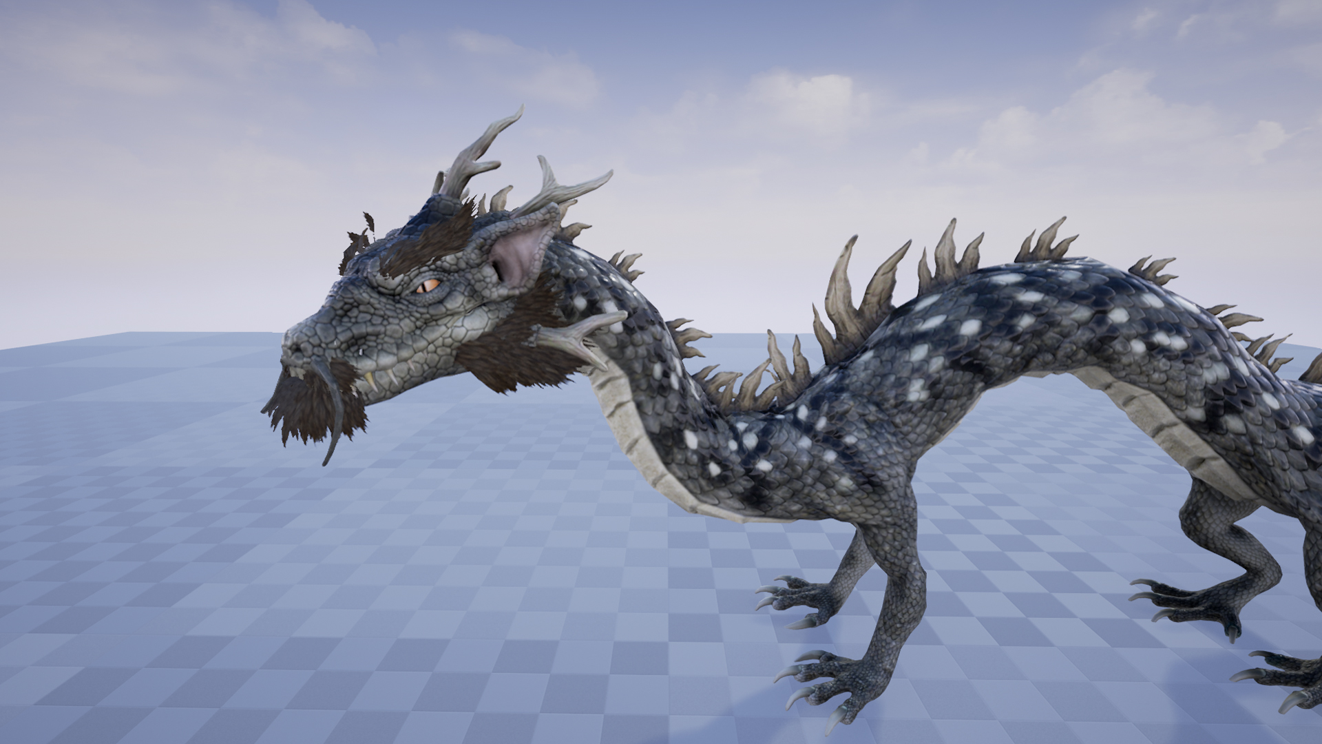 BLACK DRAGON - Image 5