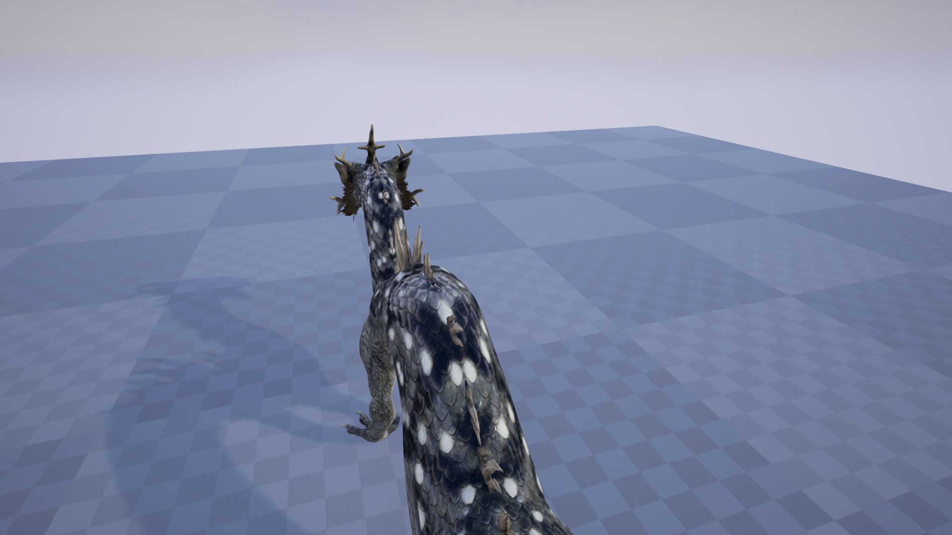 BLACK DRAGON - Image 7