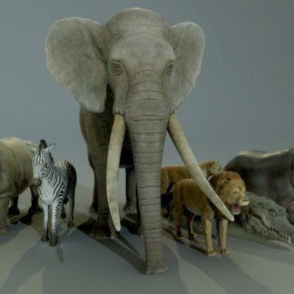 AFRICAN ANIMALS PACK