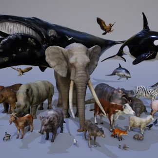ANIMALS FULL PACK
