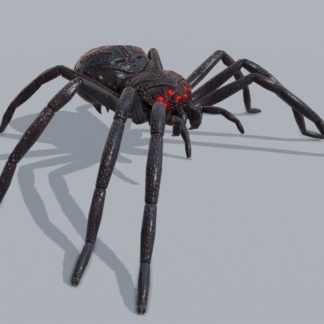DARKNESS SPIDER