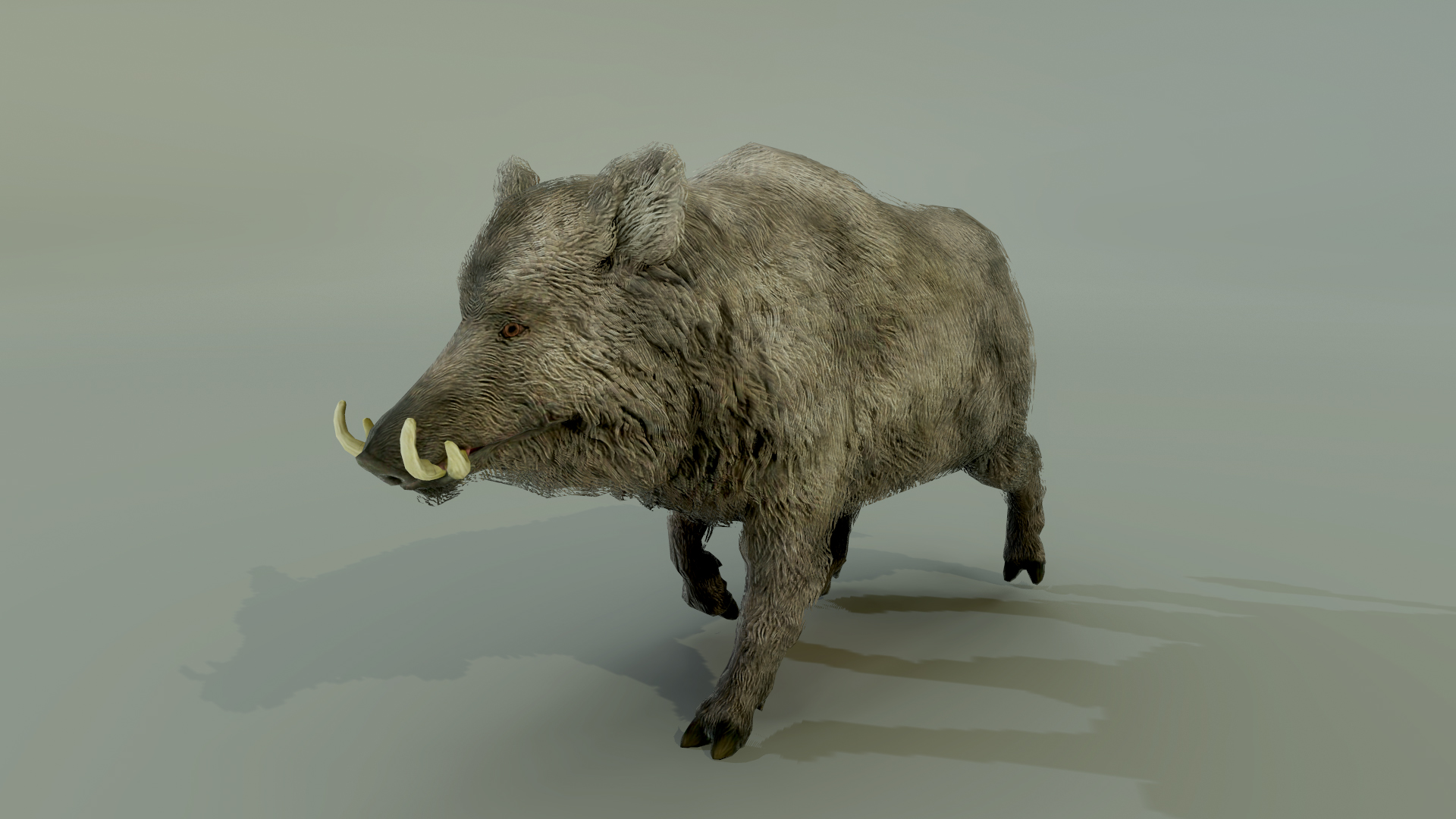 BOAR
