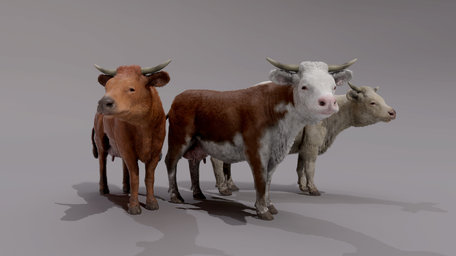 COW