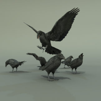 CROW