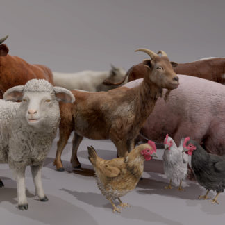 FARM ANIMALS PACK