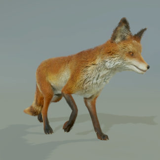 FOX