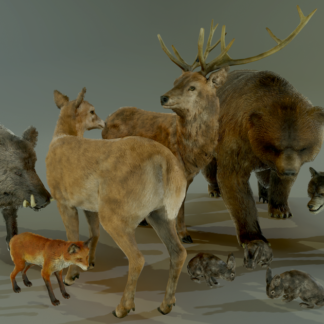 FOREST ANIMALS PACK