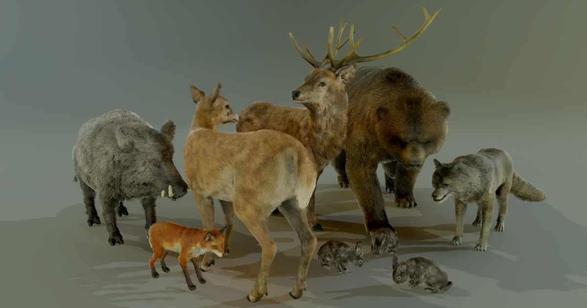 FOREST ANIMALS PACK