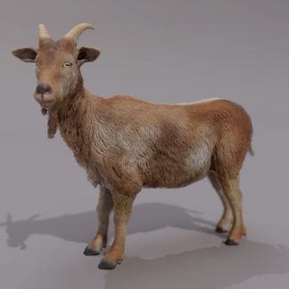 GOAT