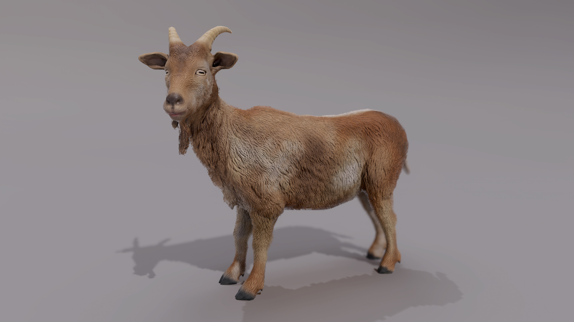 GOAT