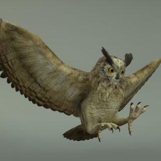 GREAT HORNED OWL
