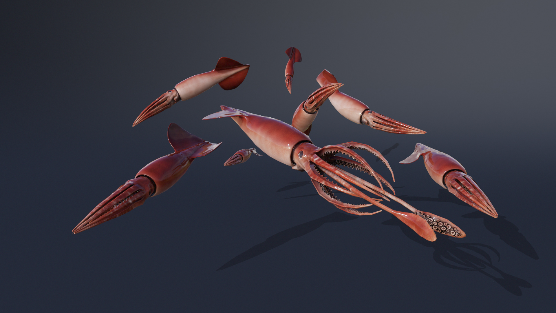 HUMBOLDT SQUID