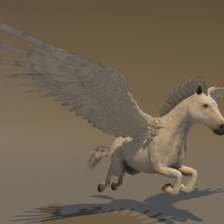 UNICORN & PEGASUS