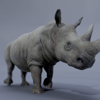 RHINOCEROS