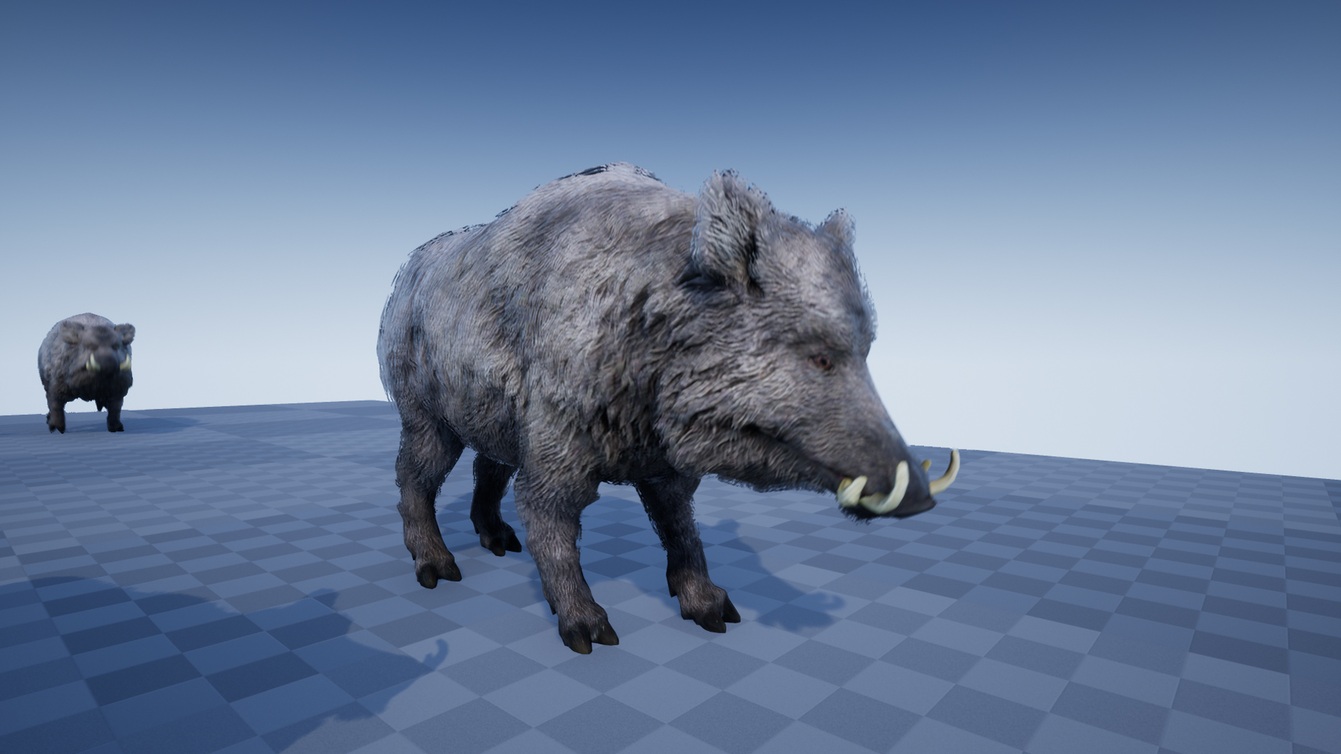 BOAR - Image 3