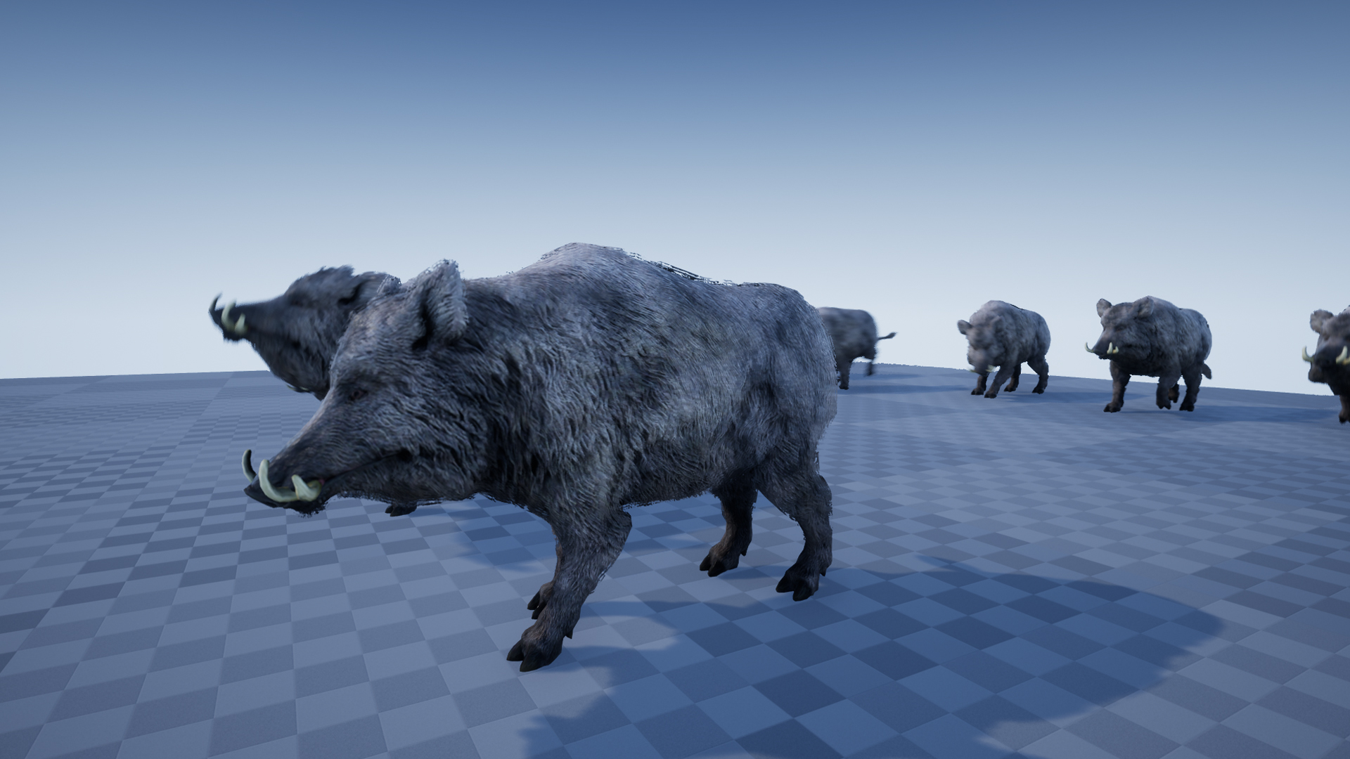 BOAR - Image 4