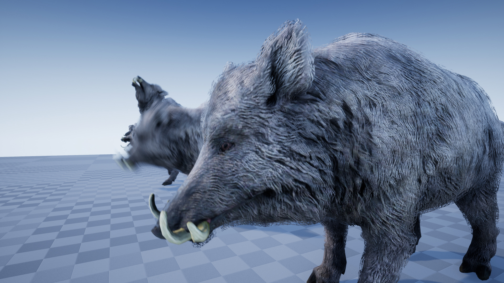 BOAR - Image 5