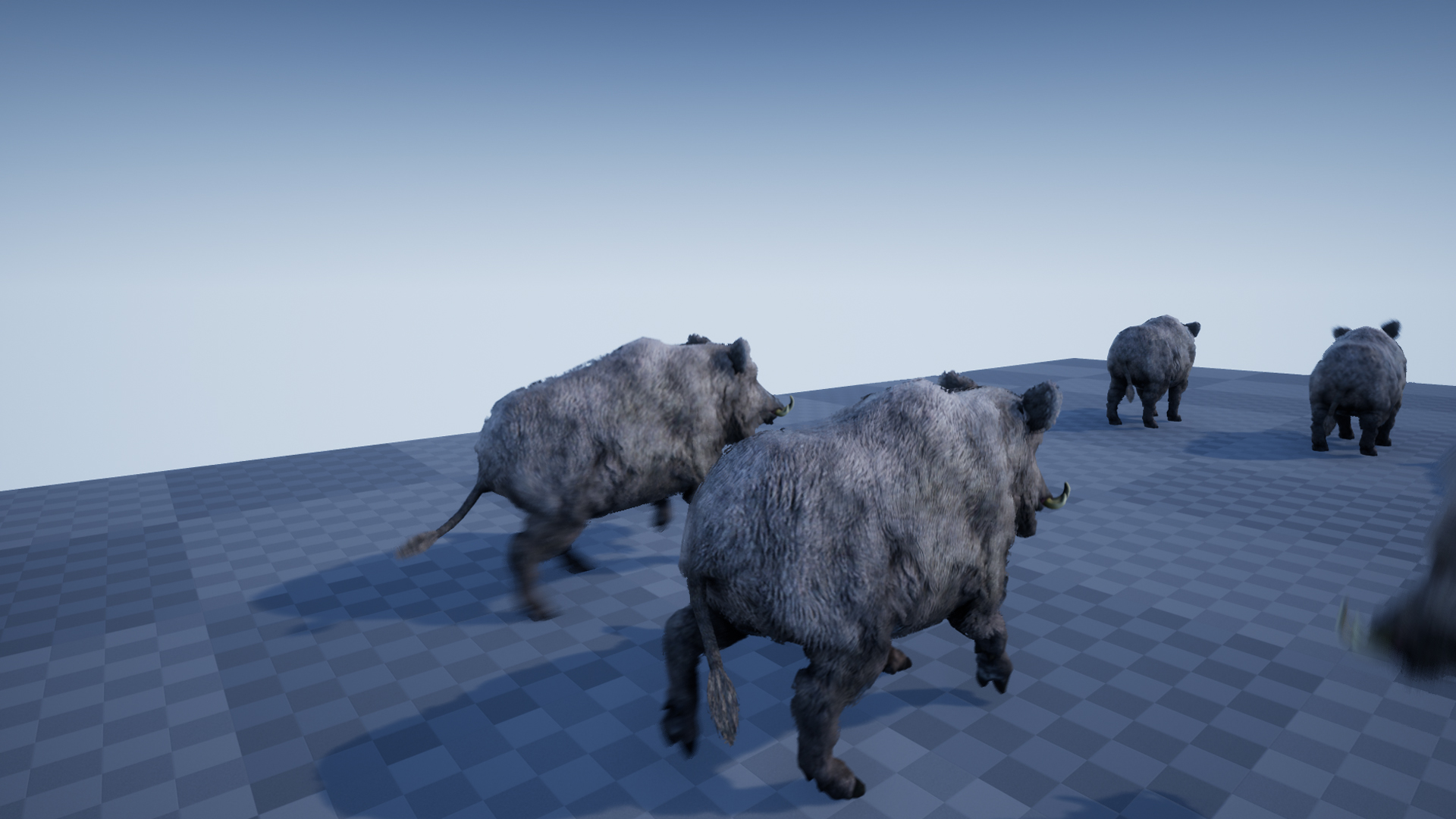 BOAR - Image 7