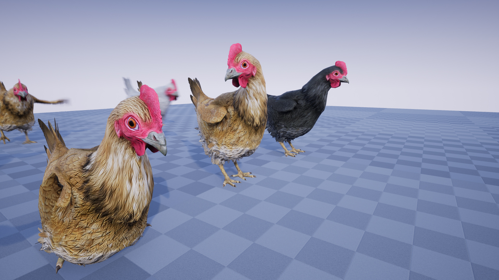 CHICKEN - Image 3