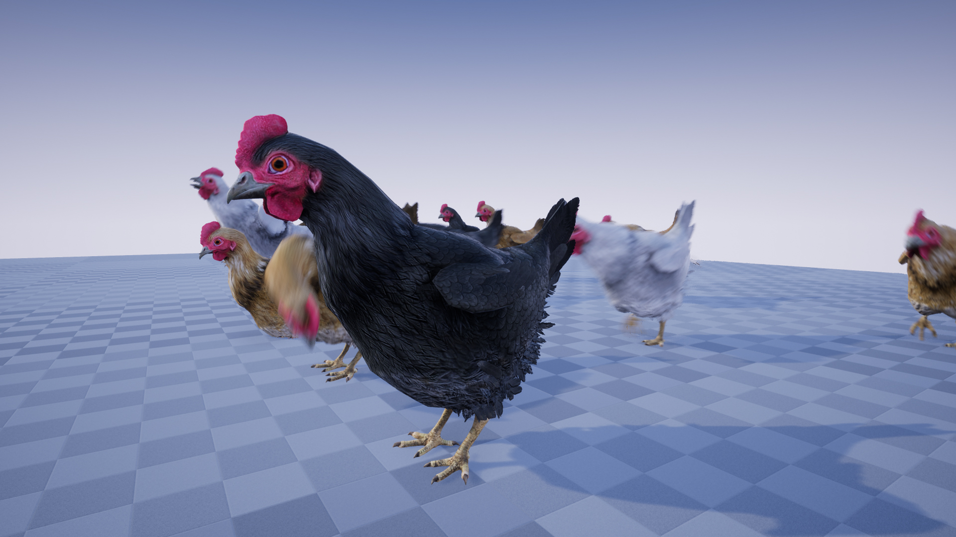 CHICKEN - Image 4