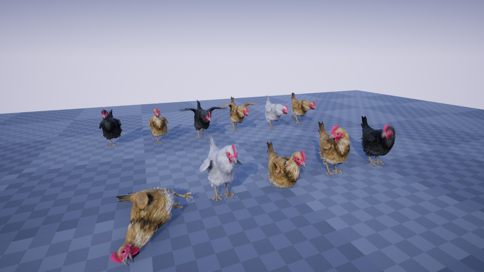 CHICKEN - Image 7