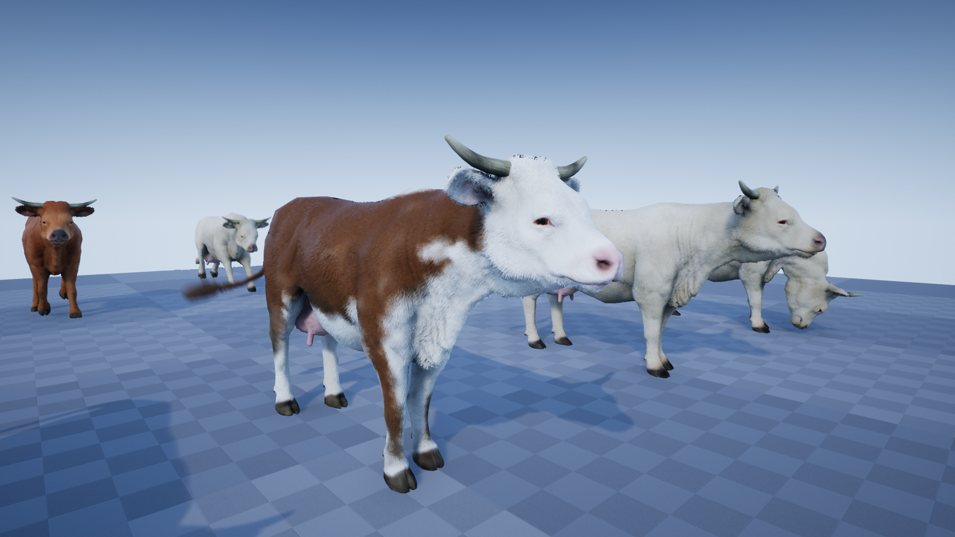 COW - Image 3