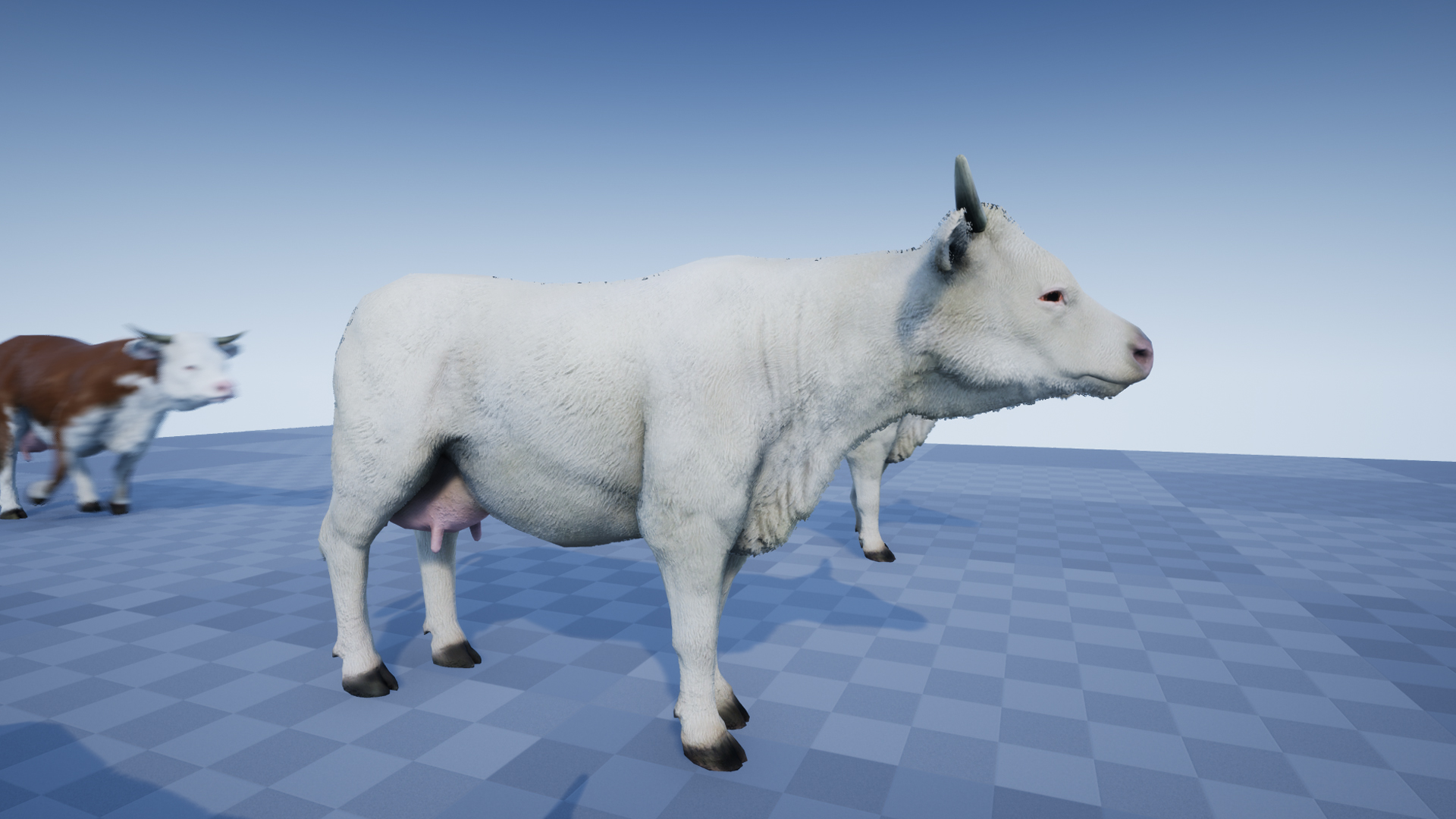 COW - Image 4