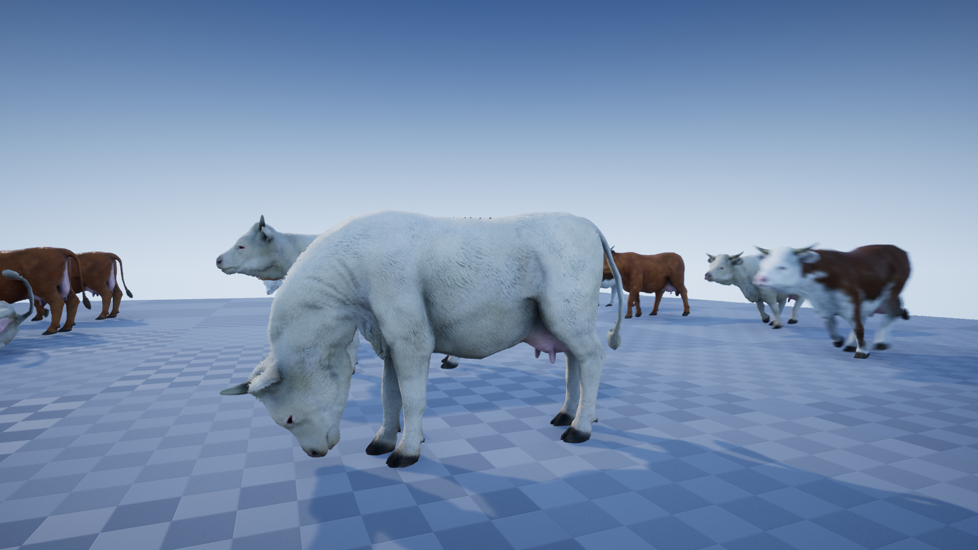 COW - Image 6