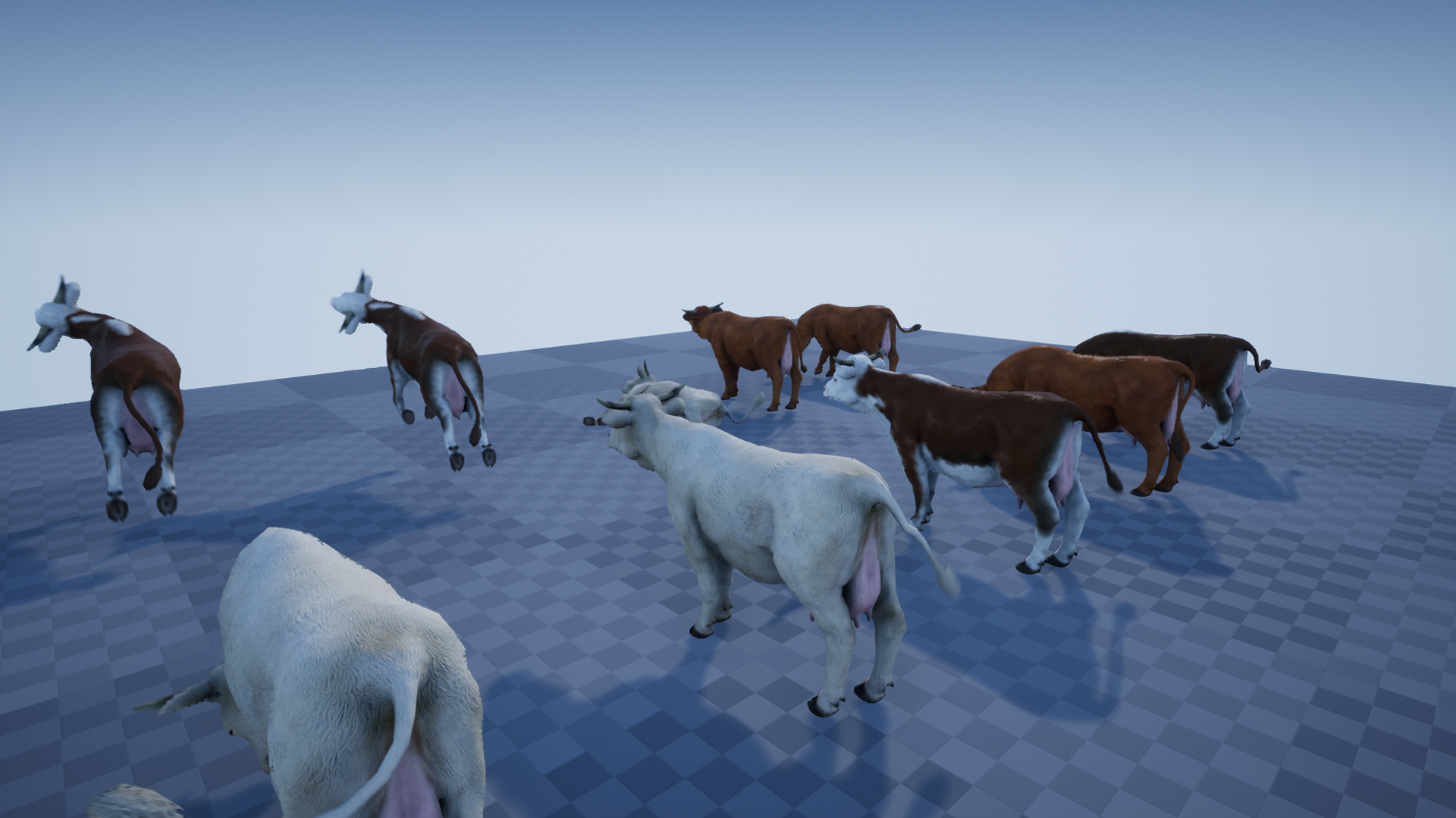 COW - Image 7
