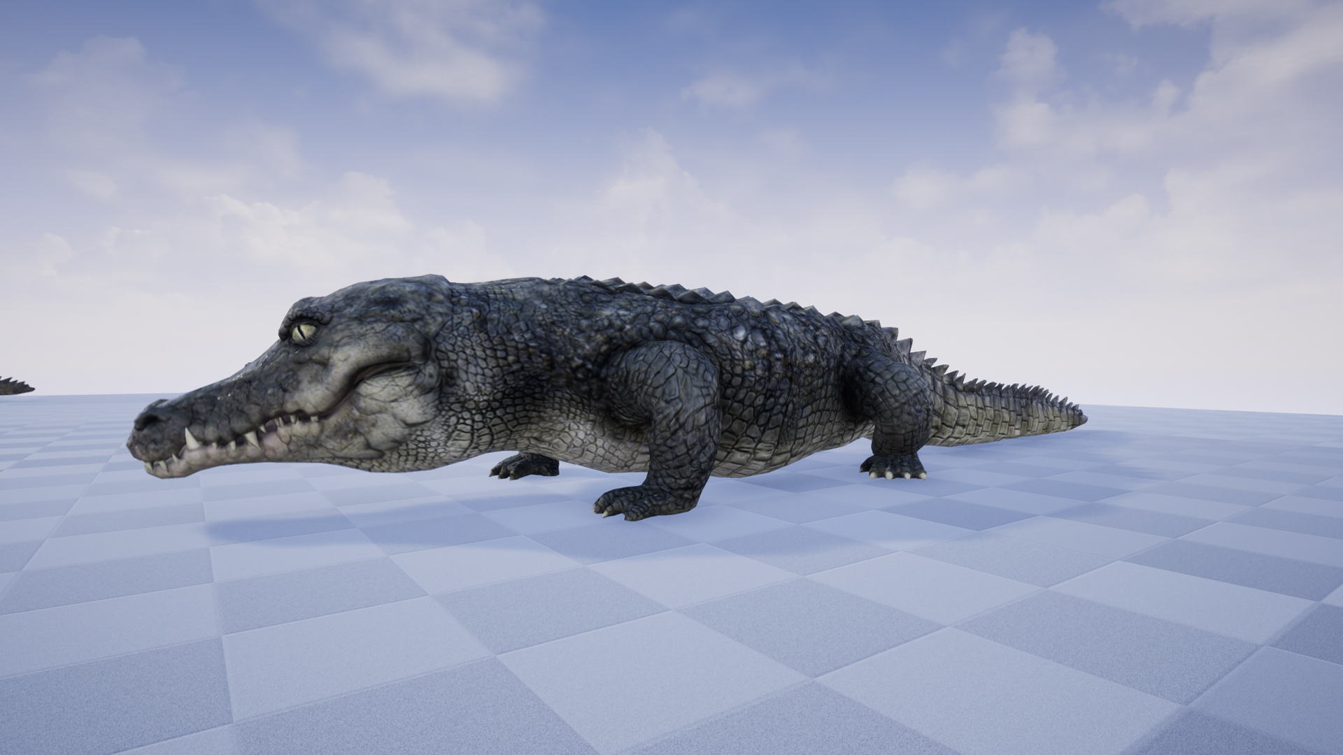 CROCODILE - Image 3