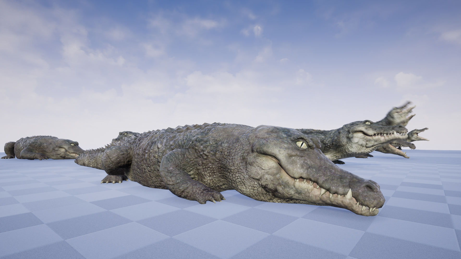 CROCODILE - Image 4