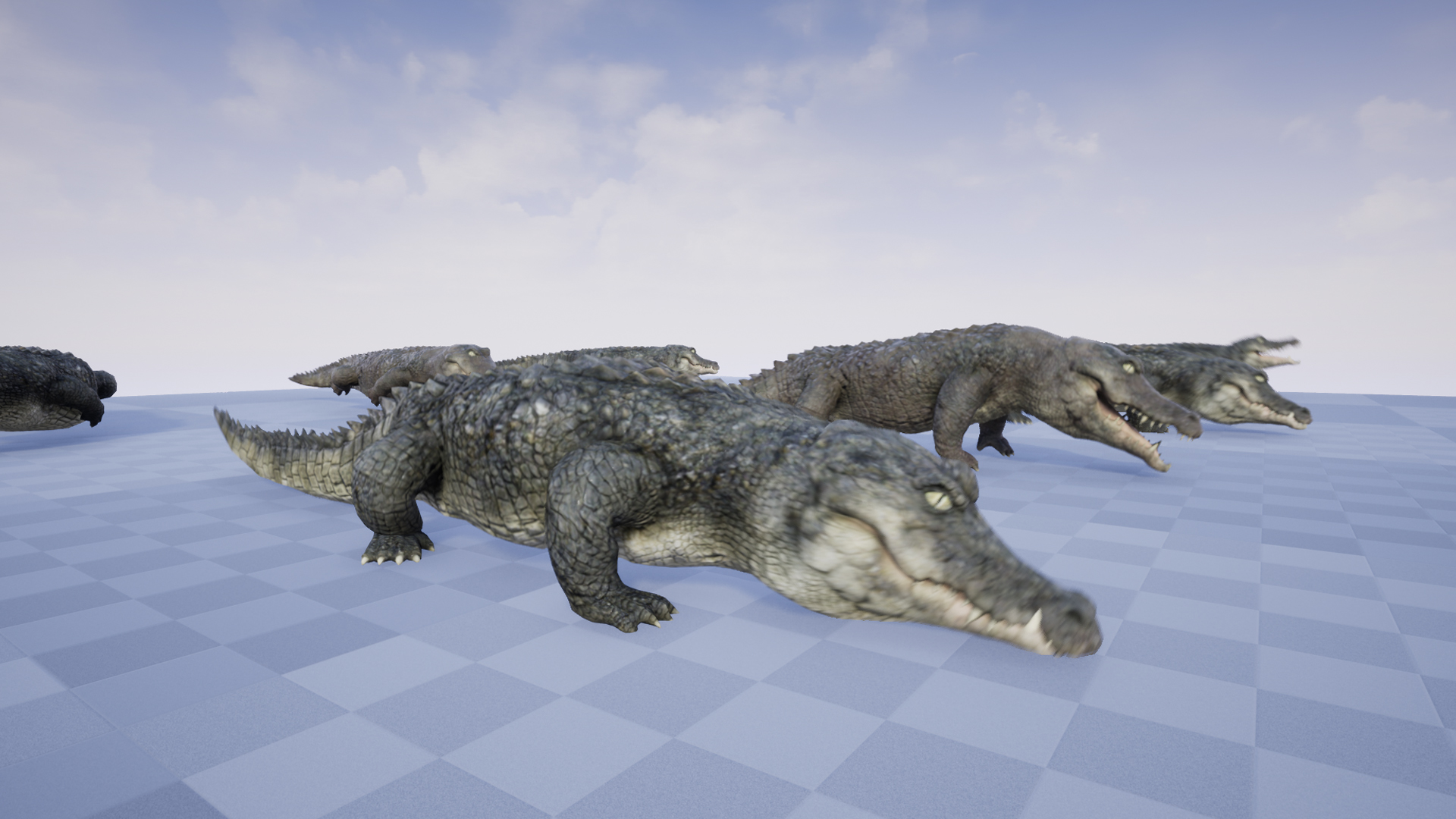 CROCODILE - Image 5