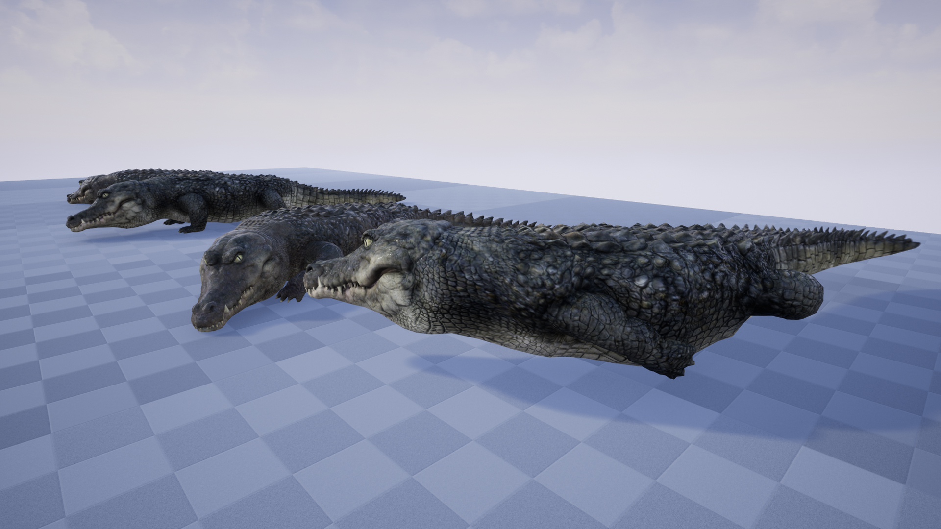 CROCODILE - Image 6