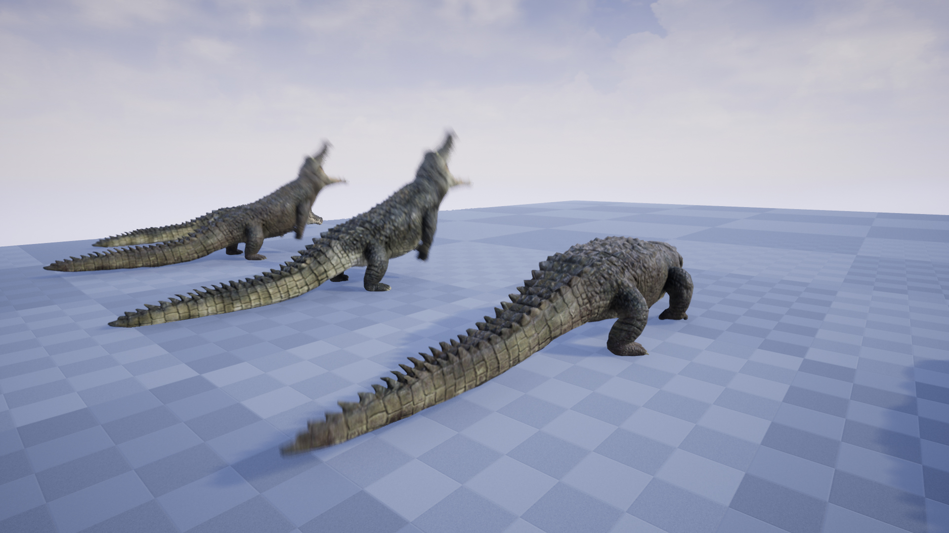 CROCODILE - Image 7