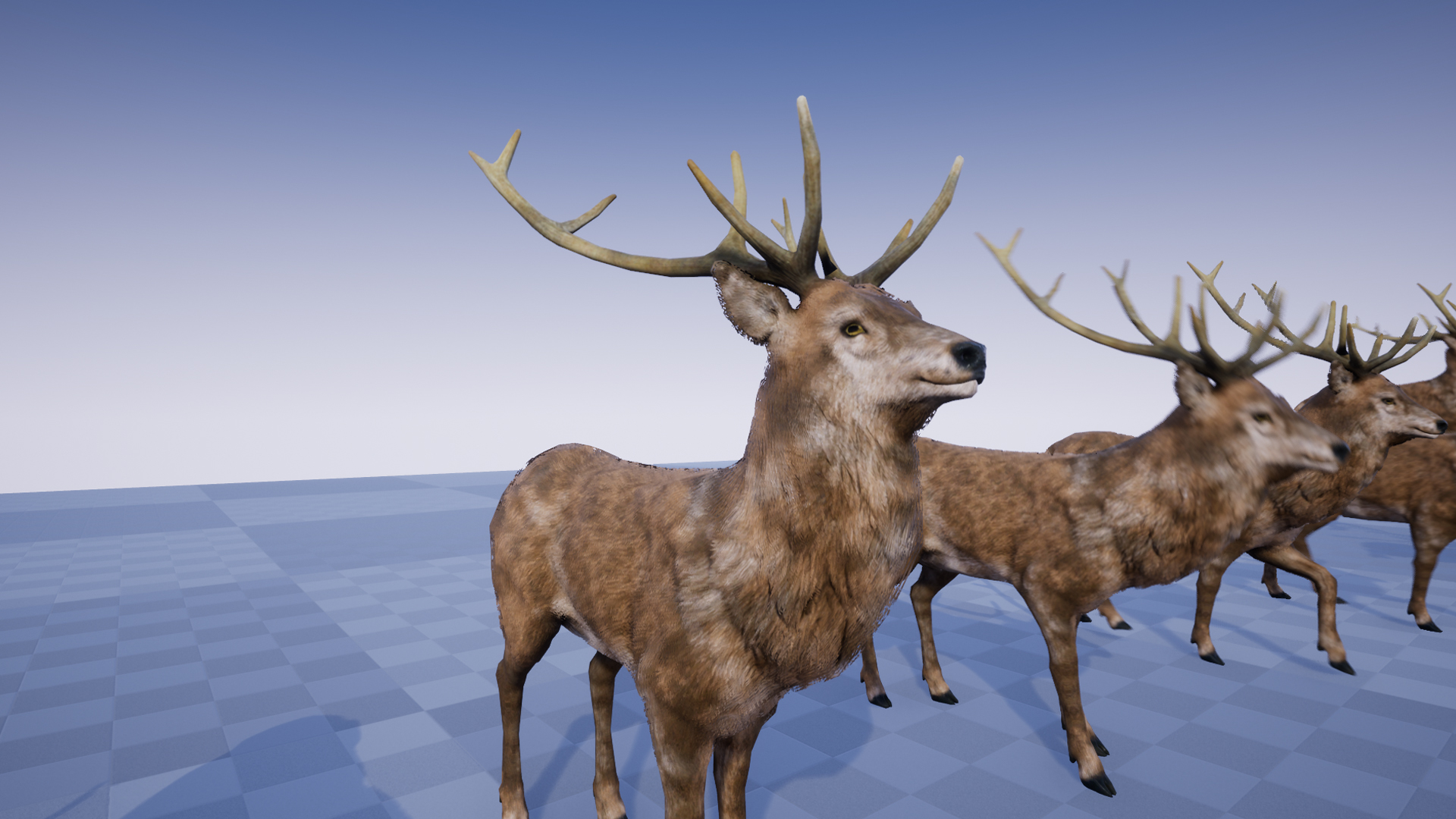 DEER STAG AND DOE - Image 3