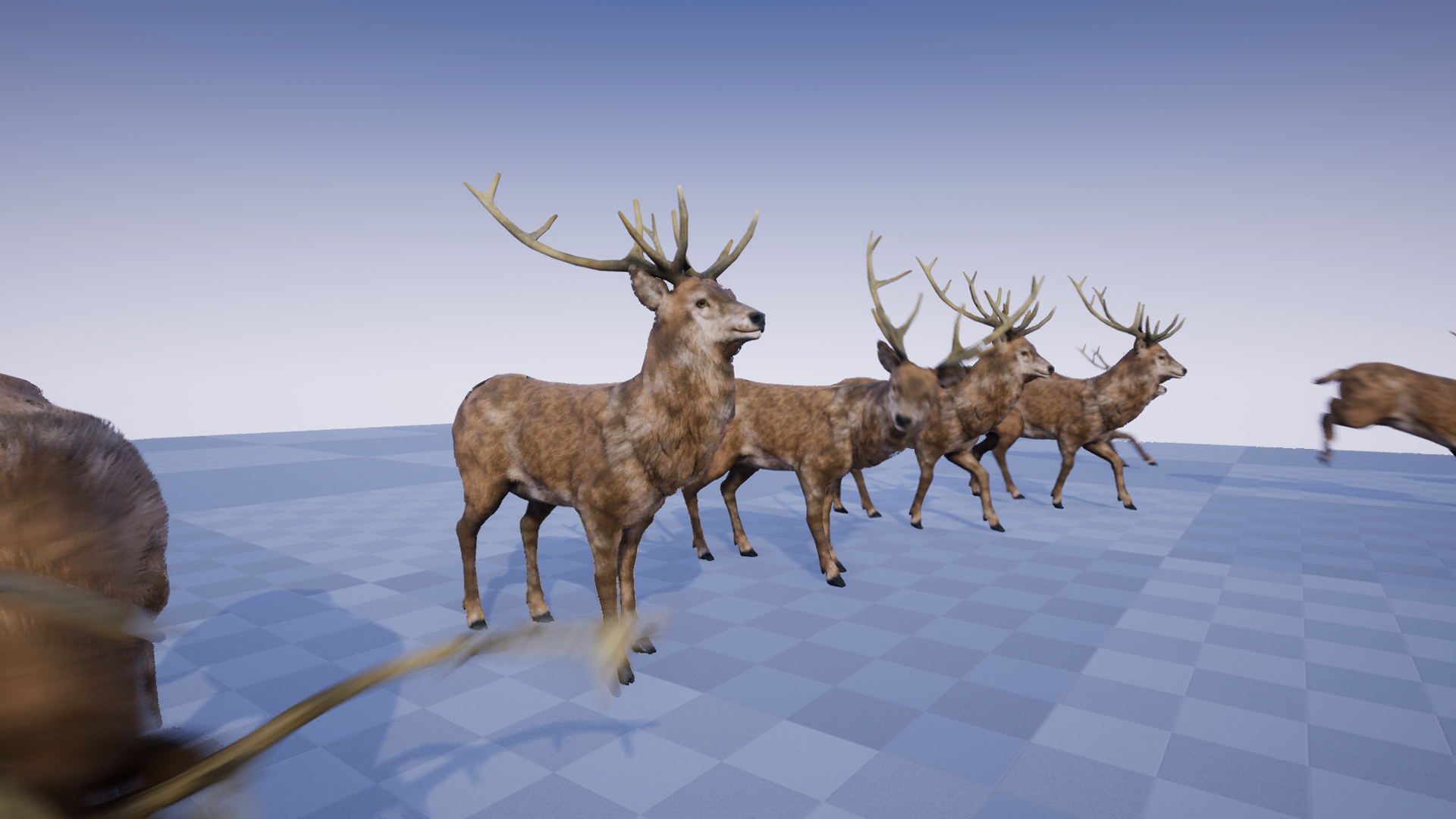 DEER STAG AND DOE - Image 4