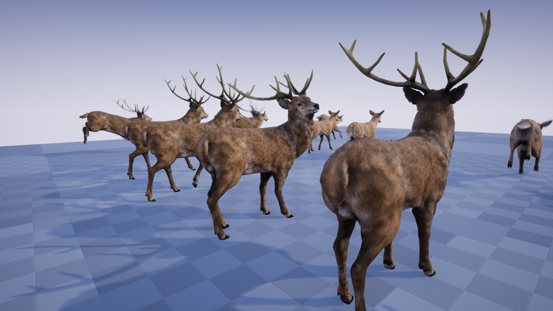 DEER STAG AND DOE - Image 5