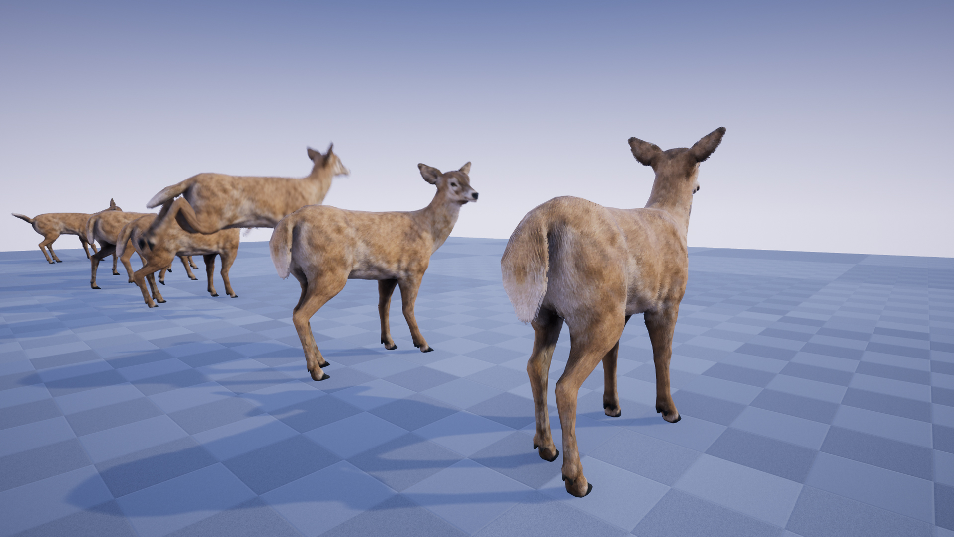 DEER STAG AND DOE - Image 6