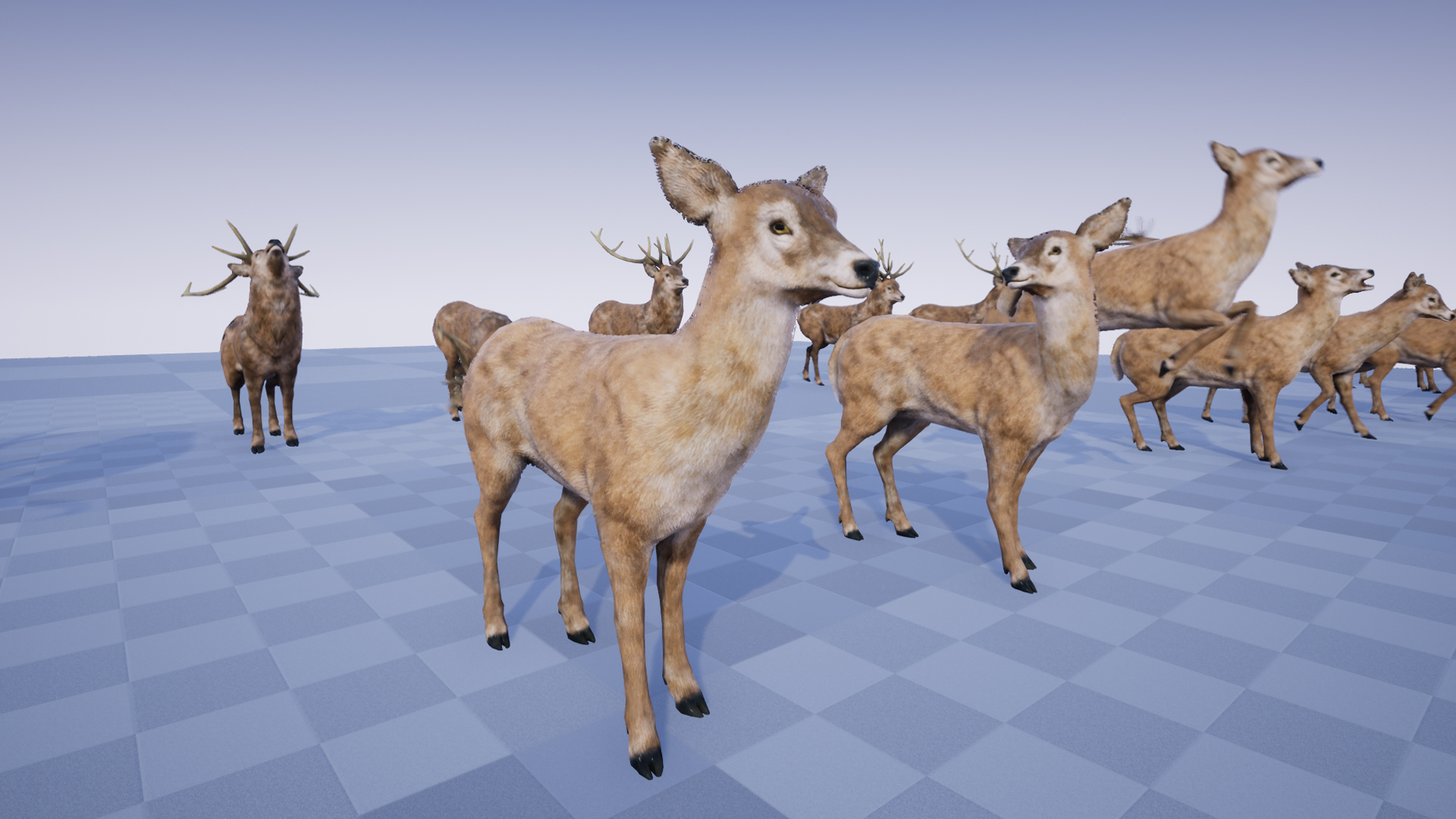DEER STAG AND DOE - Image 7