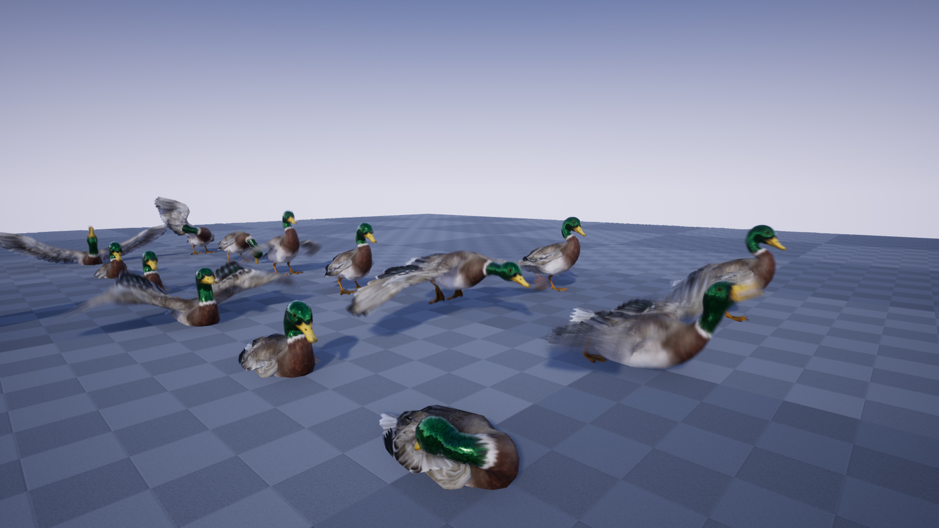 DUCK - Image 3
