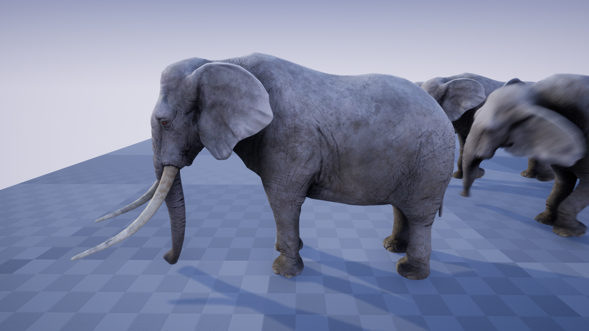 ELEPHANT - Image 5