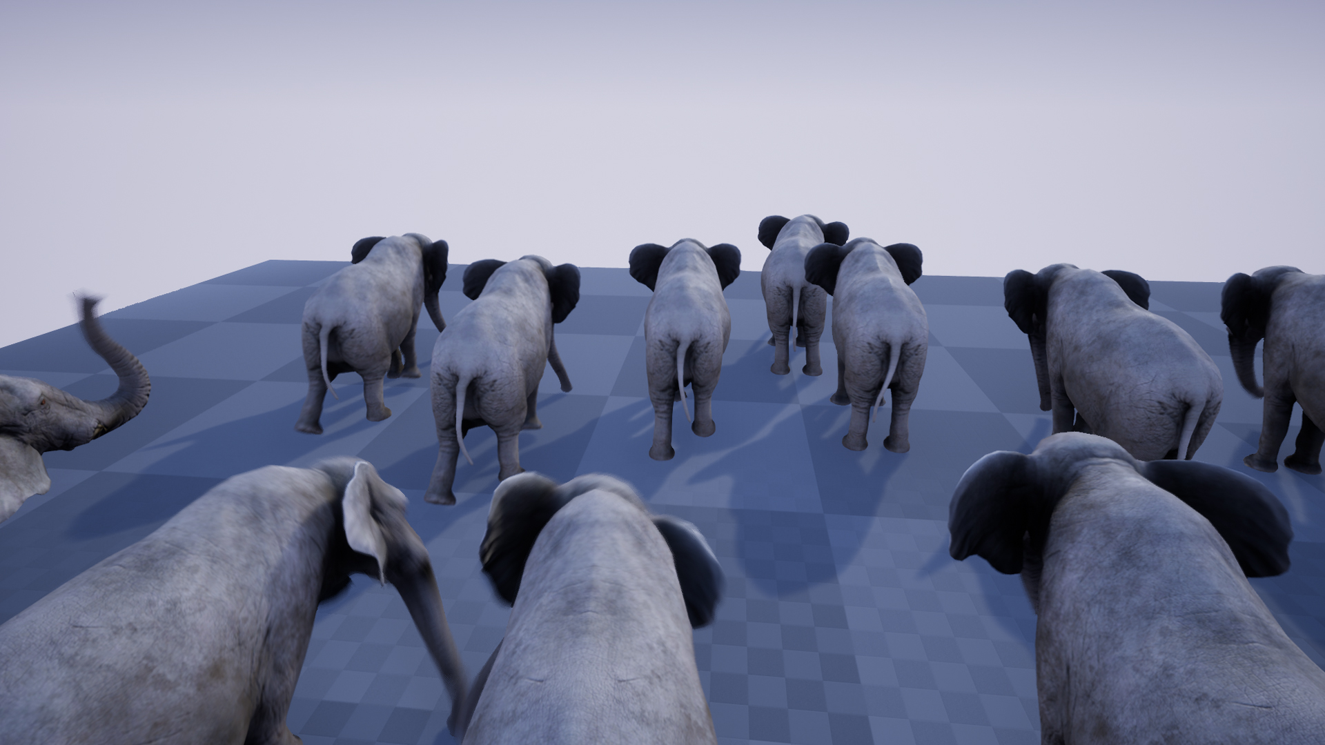 ELEPHANT - Image 2