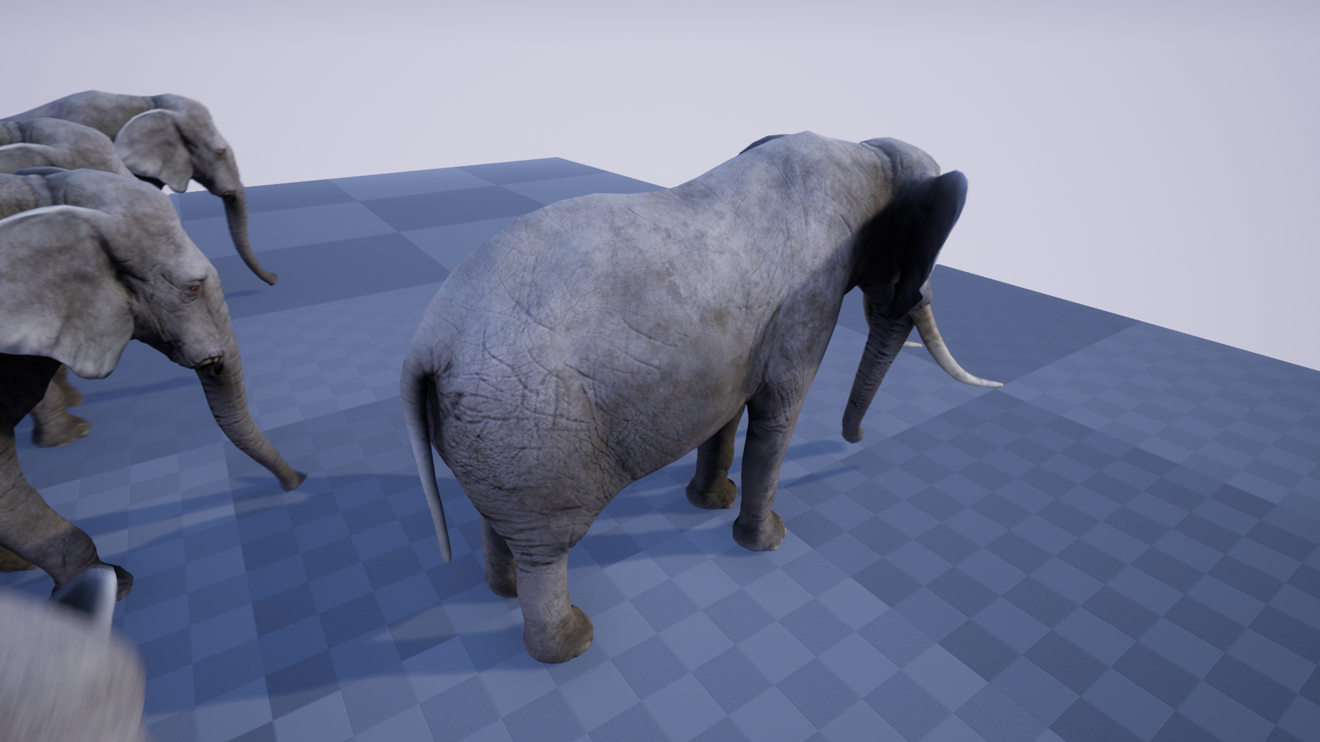 ELEPHANT - Image 3