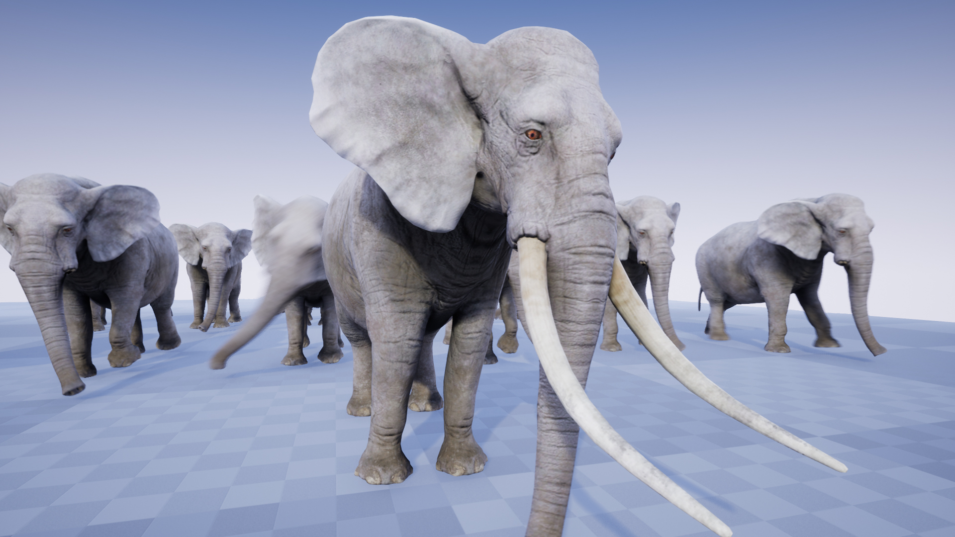 ELEPHANT - Image 4