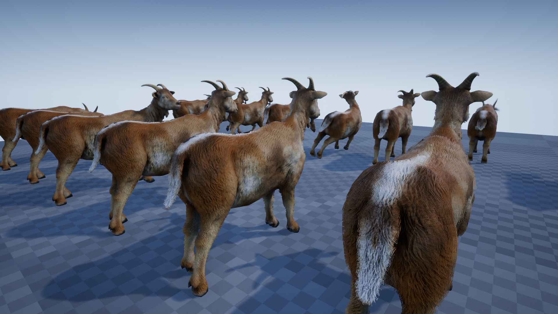GOAT - Image 6