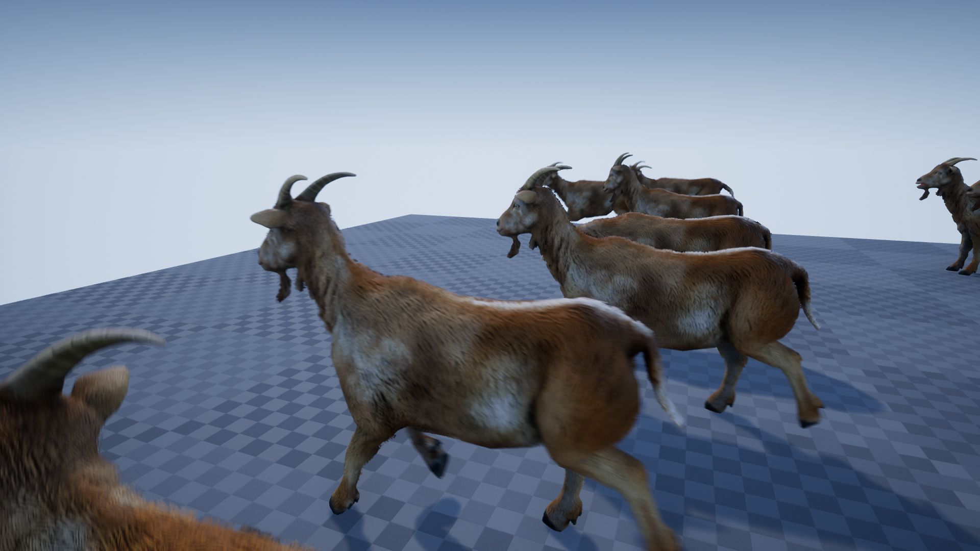 GOAT - Image 7